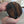 coffee bean (medium size) wall art decor up close showing Yakisugi style Douglas Fir wood being held to show sizing