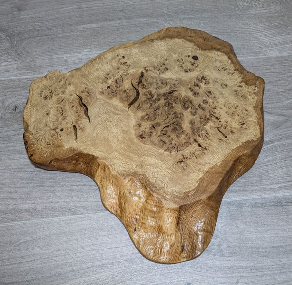 oak burr cat's paw display plinth