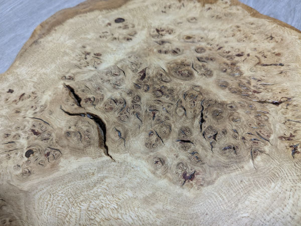 oak burr cat's paw display plinth close up