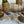 DISPLAY OF MINI OAK BARRELS FOR MINIATURE WHISKY BOTTLES