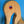head of live-edge ash duck style charcuterie/serving board