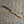 CHEESE KNIFE WITH LIVE-EDGE YEW HANDLE