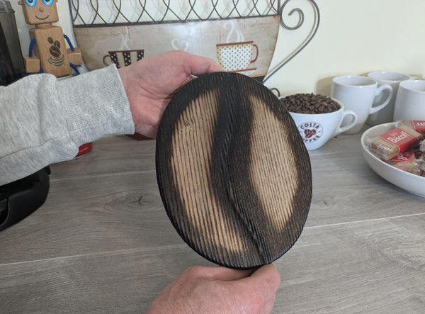 Large ash wood coffee bean being held to show sizing
