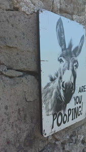 VIDEO CLIP OF THE VINTAGE STYLE METAL SIGN WALL ART WITH THE IMAGE OF A DONKEY & TEXT "ARE YOU POOPING"  HANGING ON A STONE WALL