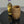 MINI OAK BARREL WITH WOODEN BUNG ON TURNTABLE VIDEO