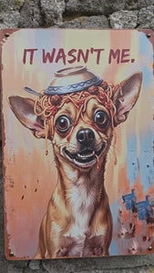 VIDEO CLIP OF  VINTAGE STYLE METAL SIGN OF A CHIHUAHUA DOG WITH AN UPTURNED BOWL OF SPAGHETTI ON ITS HEAD & THE WORDS ABOVE THE IMAGE SAYING - IT WAS'T ME.