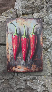 VINTAGE STYLE METAL SIGN WALL ART HANGING ON A BRICK WALL WITH THE IMAGE OF THREE CHILLIS ON IT - VIDEO CLIP