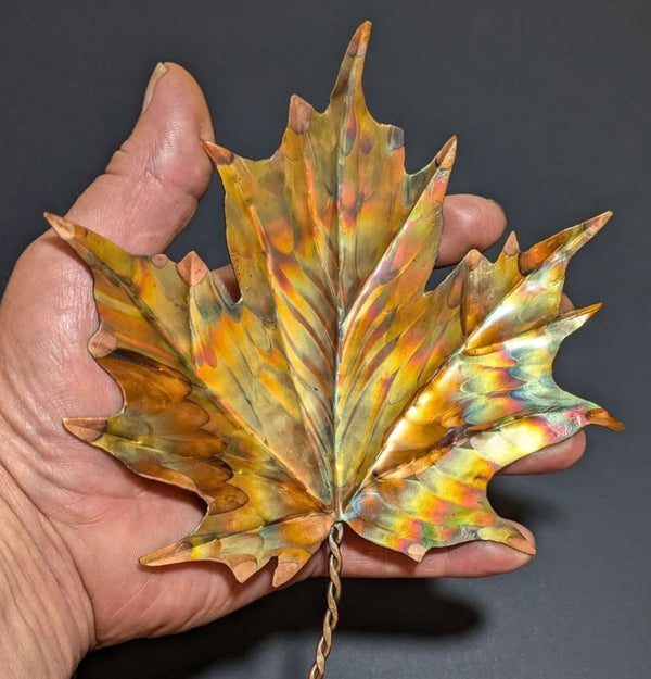 flame painted copper maple leaf close up view of copper leaf being held for sizing and detail showing the amazing colours